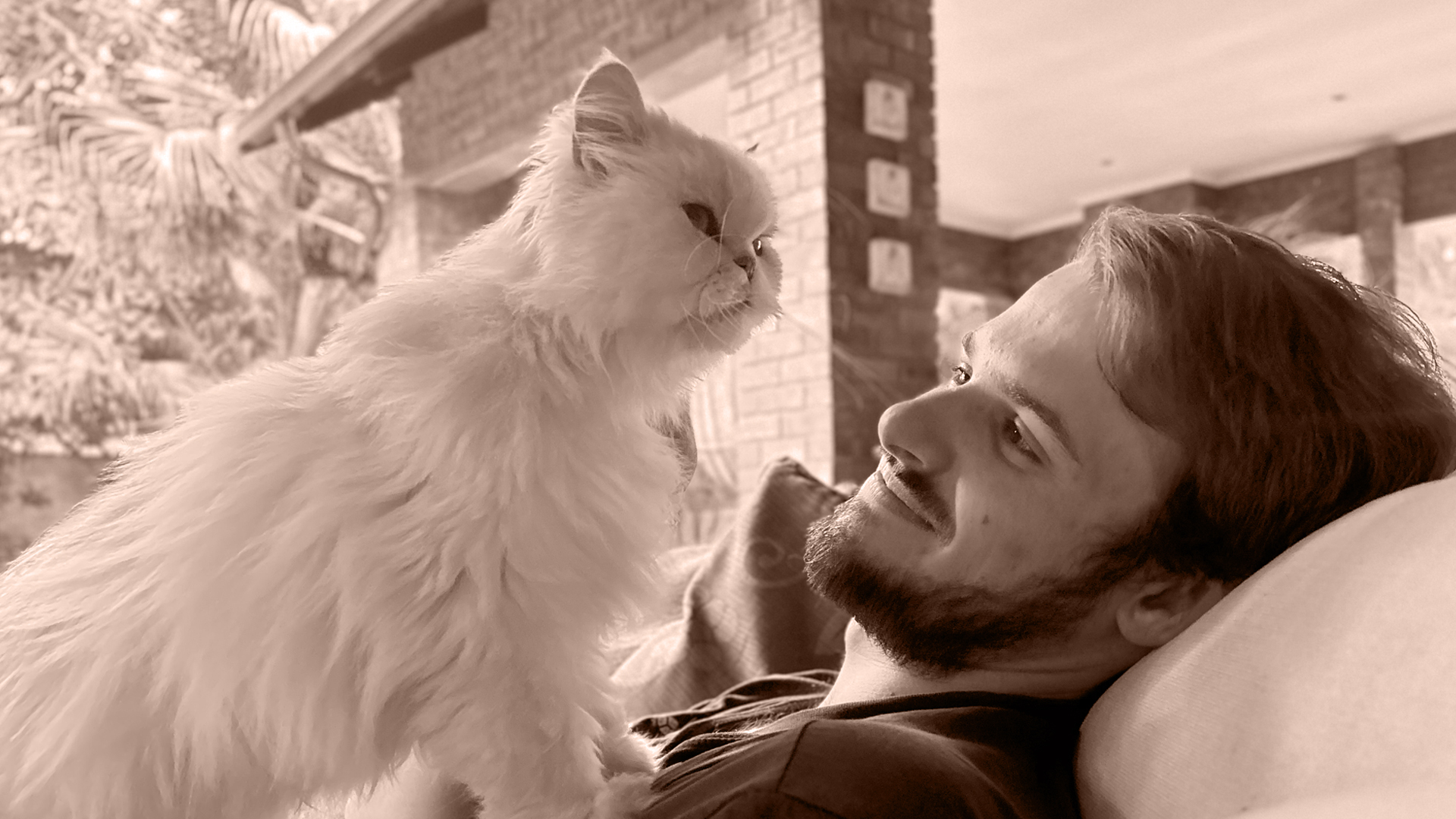 Lanzo with a cat on him