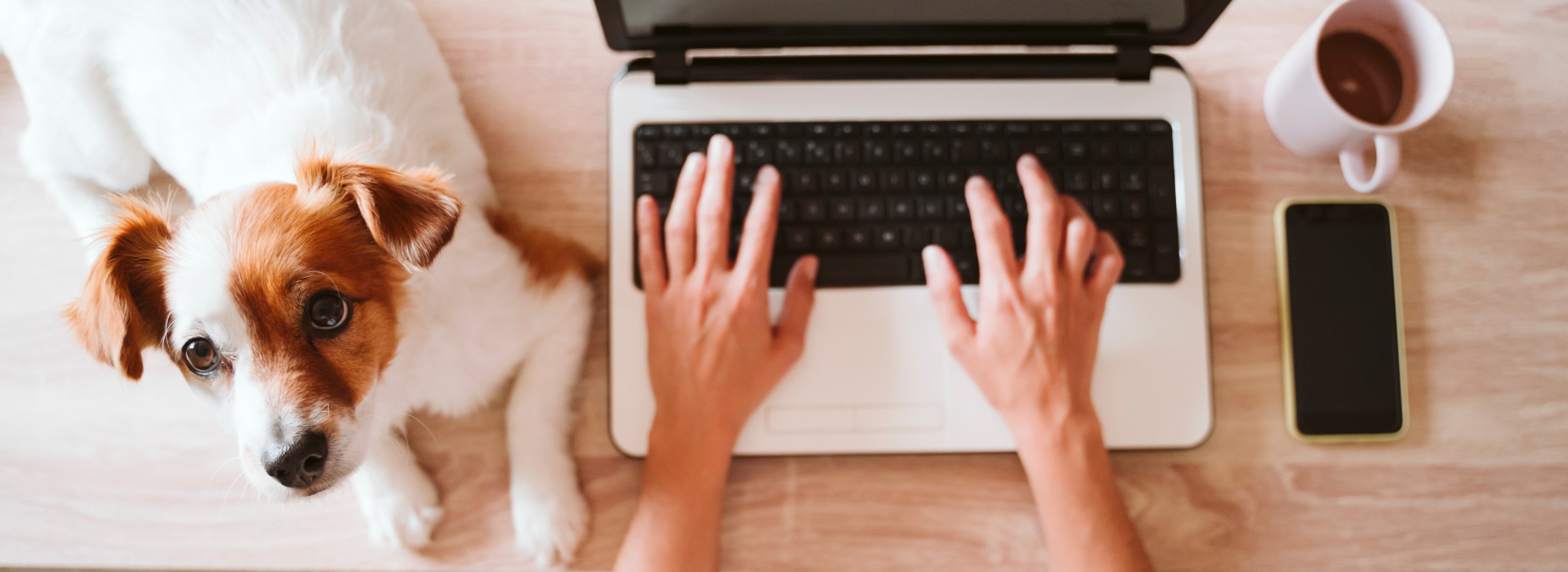 Dog with owner on the bed